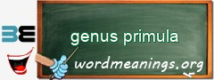 WordMeaning blackboard for genus primula